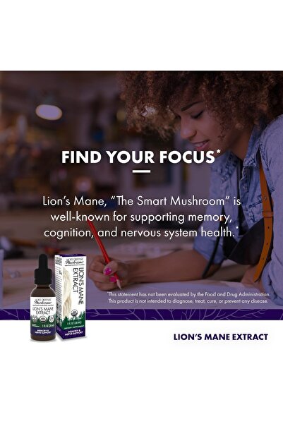 Host Defense Lion's Mane Extract - Brain Health, Focus & Memory Support - 1 fl oz (30 Servings)