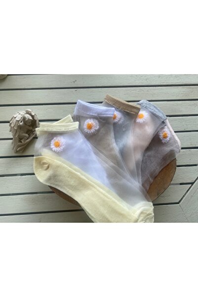 Butik Papatya dantel çorap 5’li set