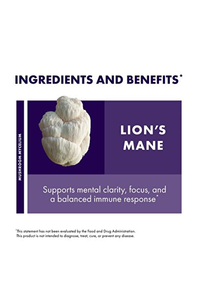 Host Defense Lion's Mane Powder - Brain Health, Focus & Memory Support - 7 oz (133 Servings)