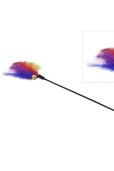 Bare & Bold Cat Fishing Rod