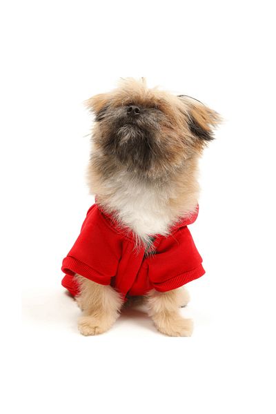 JesPawty Red Hooded Dog Outfit