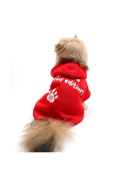 JesPawty Kırmızı Kapüşonlu Köpek Kıyafeti
