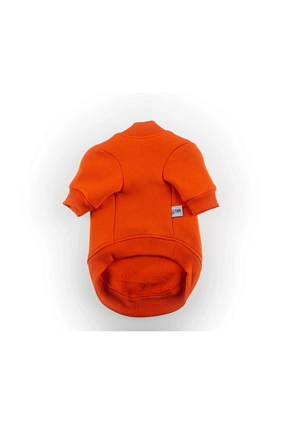 JesPawty Orange Sweatshirt Dog Outfit