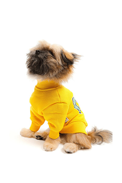 JesPawty Sarı Sweatshirt Köpek Kıyafeti