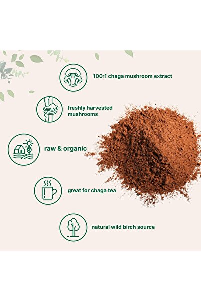 Micro ingredients Organic Chaga Mushroom Extract 100:1 Powder, 10oz | Wild Harvest, Vegan Superfood