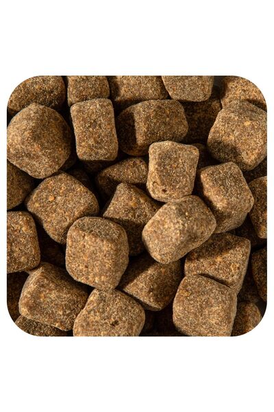 Charlie and Frank Dog Multi-Vitamin & Mineral, Supports Fresh Breath, 60 Soft Chews, 6.3 oz (180 g)