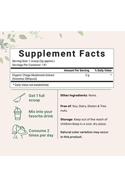 Micro ingredients Organic Chaga Mushroom Extract 100:1 Powder, 10oz | Wild Harvest, Vegan Superfood