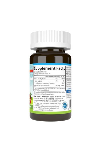 Carlson Kid's Chewable Iron, 15 mg, Superior Absorption, Blood Health, Strawberry Flavor, 30 Tablets