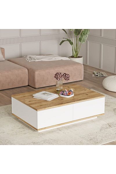 Home Canvas Future Coffee Table Pine and White