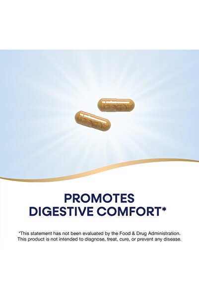 Nature's Way Ginger Root, Promotes Digestive Comfort*, Reduces Nausea*, 1,100 mg, Non-GMO, Vegan, 240 Capsules