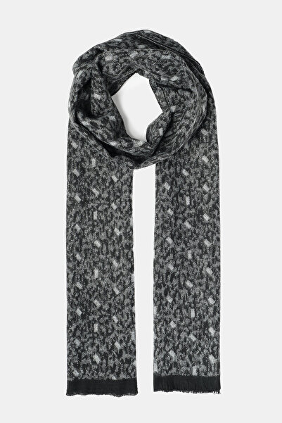 W Collection Black Cake