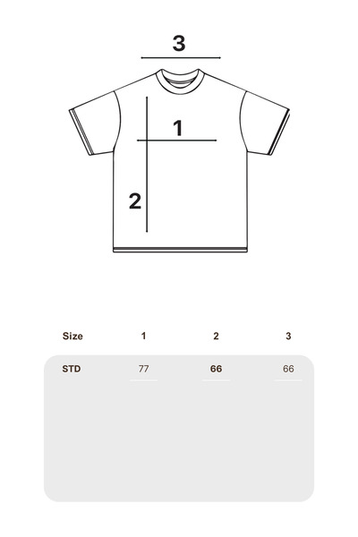 Sekizbiraltı Y2k Leopard Star Printed Oversize Unisex Πλενόμενο Πράσινο Tshirt