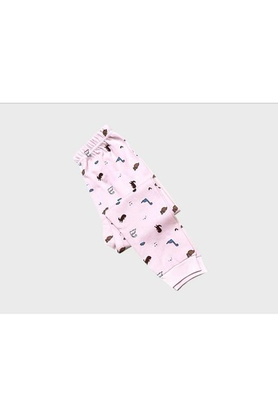 ALİŞ KİDS Girl's 100% Cotton Pink Hedgehog Patterned Long Sleeve Pajama Set