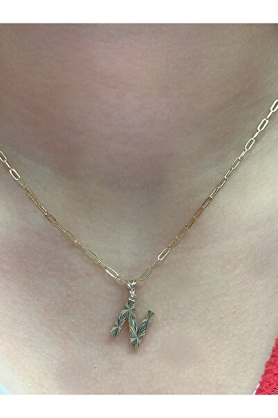 Hakan Güler Kuyumculuk Altın 3 Boyutlu N Harfli Ataç Zincir