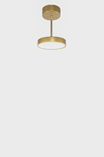 Fer Avize Sual Ledli Avize 3 Renk Işık Veren Enerji Tasarruflu Tekli Modern Avize Koridor Salon Hol Cafe