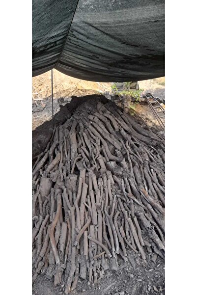 MANGALA Mangal kömür