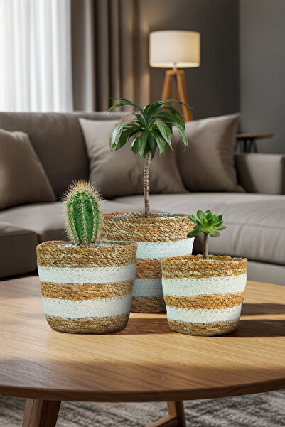 Bliss 3'lü Dekoratif Hasır İçi Jelatinli Saksı Küçük Boy Set Çok Amaçlı Hasır Sepet, Ev Bahçe Düzenleyici