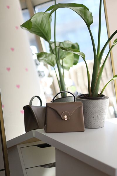 Moom Bag Γυναικεία βραδινή τσάντα φορέματος με ματ οβάλ χρυσό αξεσουάρ Mink με πέτρινη λαβή