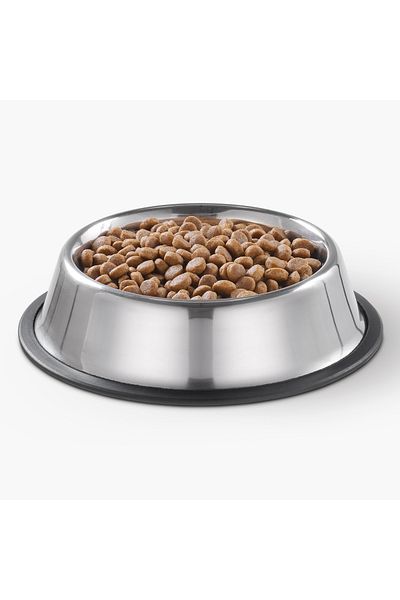 erorex وعاء طعام الكلاب المصنوع من الفولاذ المقاوم للصدأ - 700 مل