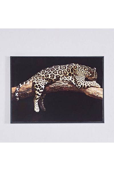 erorex Ersel Leopard Framed Picture - 50x70x2.5 cm