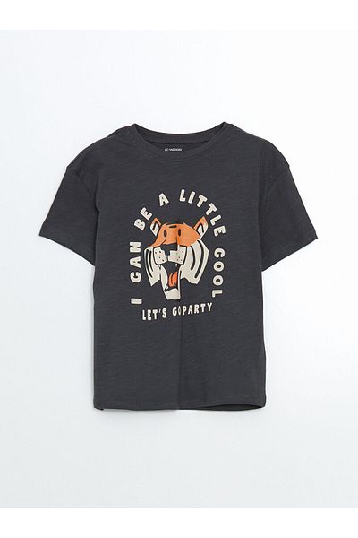 LC Waikiki Crew Neck Printed Boys' T-Shirts and Shorts 2-Piece