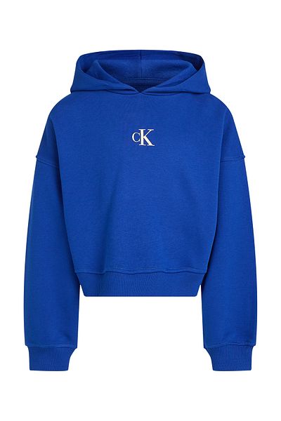 Calvin Klein Girls Blue Sweatshirts