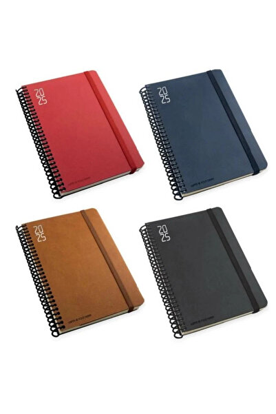 Gıpta Gipta Agenda Daily 17X24 Fold 409-Fdk 2025