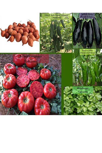 Zencefil Organik 6 Paket Tohum No18 Arpacık Soğan 1 Kg. Iska Hibrit Salatalık Patlıcan Köy Domatesi Biberi Tohumu ...