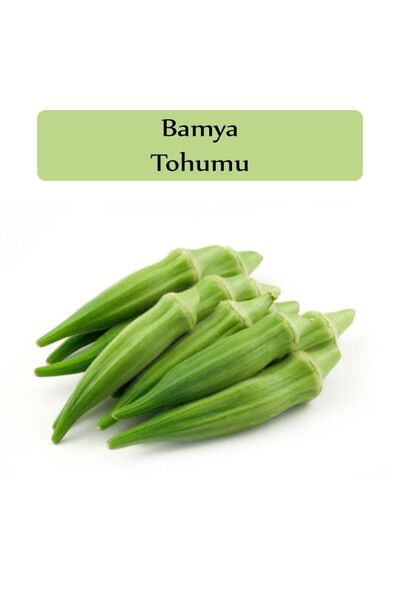 Zencefil Organik Bamya Tohumu 1 Paket Sultani Bamya Kapalı Paket Tohum Ekmek ...