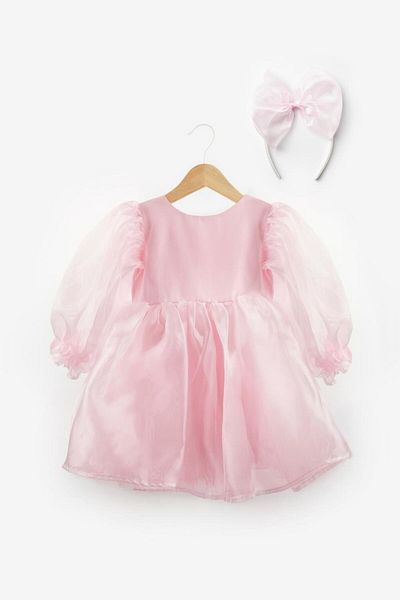 Le Mabelle Pink Long Sleeve Organza Girl's Party Dress - Sage