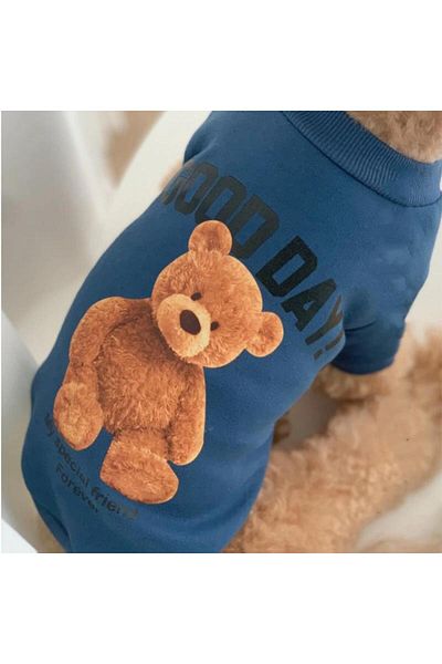 Zigver Autumn Winter Puppy Hoodie Clothing Cartoon Bear T Shirt Vest Cat Sweatshirt Small Medium Large Dog Sportswear g