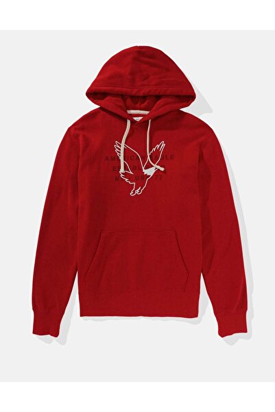 AMERICAN EAGLE AE Super Soft Graphic Hoodie