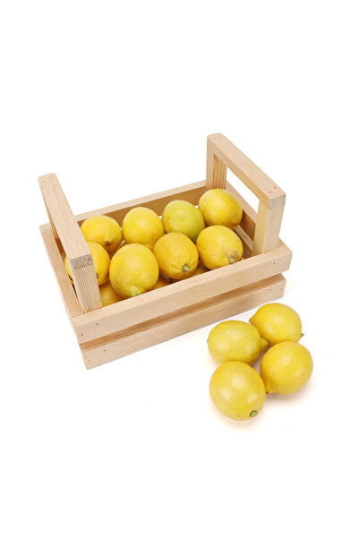 Limon Dekor Masif Ahşap Sandık, Tutma Saplı - Servis Kasası - Cafe Masaüstü Organizer / Wooden Box with Handle