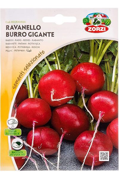AKDC Radish Seeds Brown