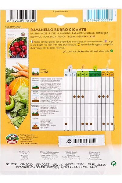 AKDC Radish Seeds Brown