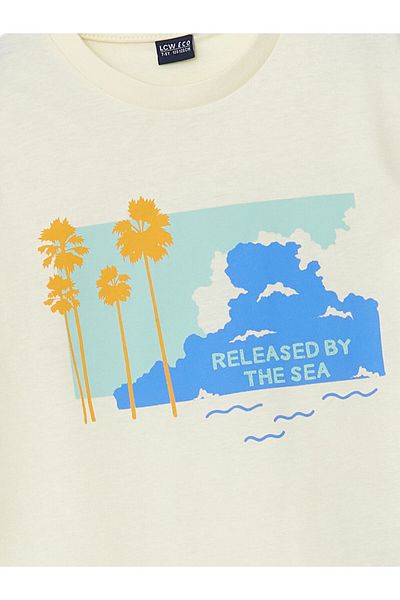 LC Waikiki New Season Crew Neck Men's T-Shirt - S5K365Z4