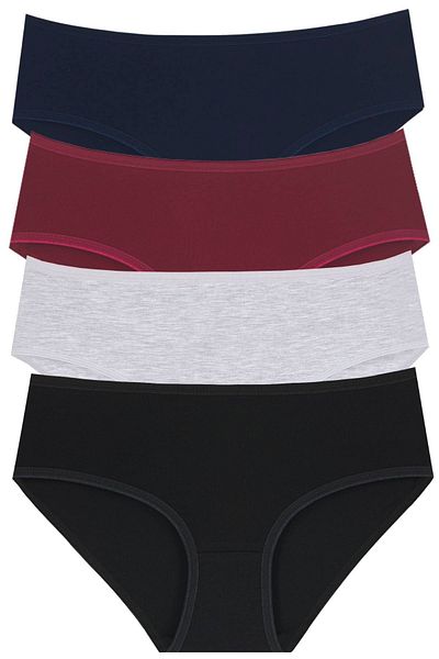 Newlilla 18006-12 Women's 4-Piece Bato Panties Pack
