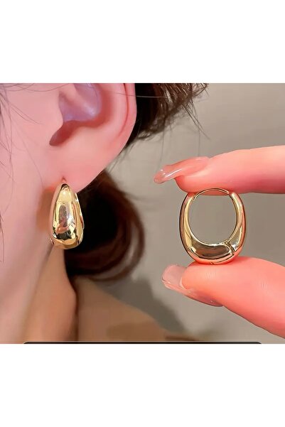 Home Trendlover Oval Halka Küpe, Çelik Halka Küpe