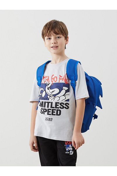 LC Waikiki S Printed Boys' T-Shirt and Sweatpants Set of 2