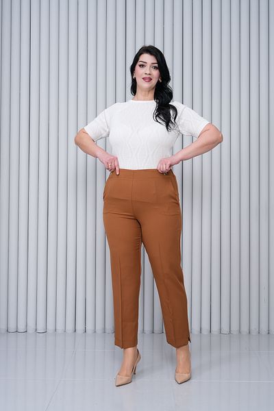 JANSO GROUP - Women's Plus Size Brown Color Cloth Pants