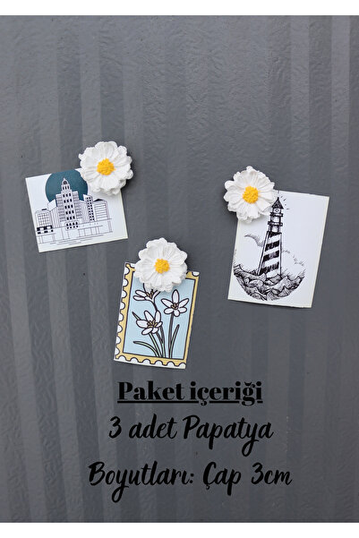 Assa Wood 3'lü Papatya Magneti - Buzdolabı Magneti - Buzdolabı Süsü-Mıknatısl...
