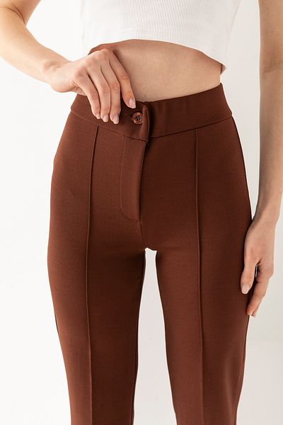 LEBRA Women's Brown High Waist Ribbed Stitched Lycra Knitted Trousers