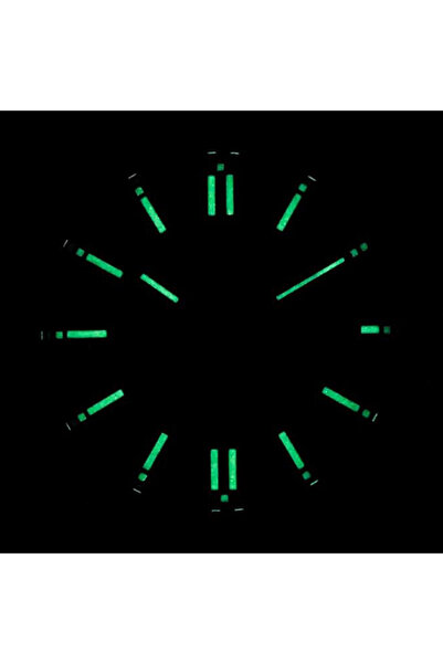 Citizen Tsuyosa NJ0159-86X Erkek Kol Saati