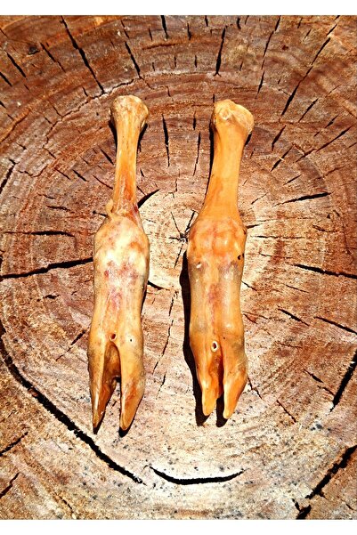 Prochef 250 Gr Kurutulmuş Oğlak Paça & Oğlak Ayağı ( Köpek Kemiği & Ödül Mama...