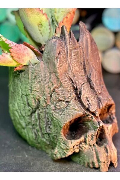 3D Brothers زارع جمجمة الحياة