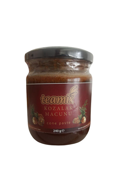 teamix Kozalak Macunu 240 gr Güçlü Nefes Vücut Direnç Macun