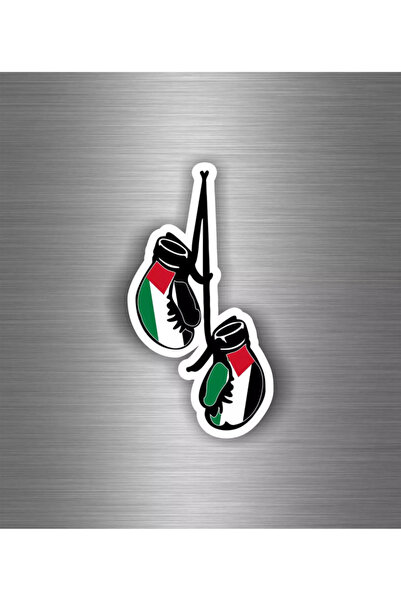 TSC قفازات ملاكمة نسائية فلسطينية مقاس 19 سم