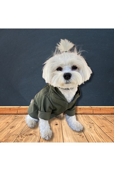 Oli and Lui Military Green Dog Raincoat