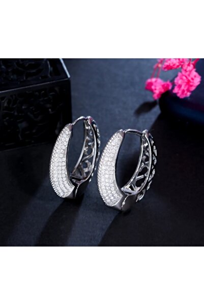 reyselstyle Zircon Stone Luxury Hoop Earrings