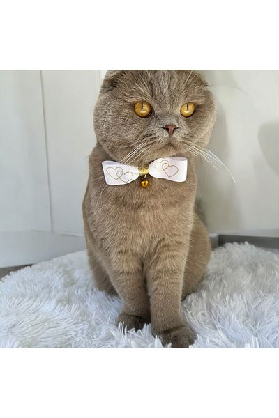 Melo White Heart Detailed Ribbon Cat and Small Breed Dog Collar